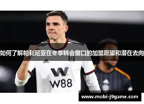 如何了解帕利尼亚在冬季转会窗口的加盟愿望和潜在去向