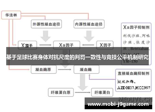 基于足球比赛身体对抗尺度的判罚一致性与竞技公平机制研究