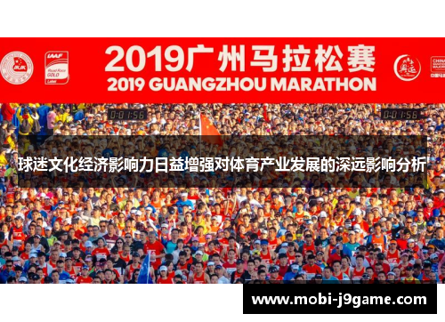 球迷文化经济影响力日益增强对体育产业发展的深远影响分析