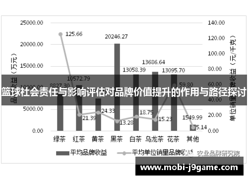 篮球社会责任与影响评估对品牌价值提升的作用与路径探讨